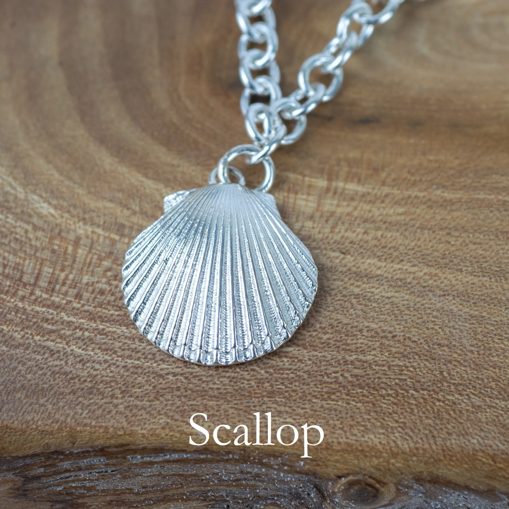 Create Your Own - Rockpool Shell Charm Silver Bracelet