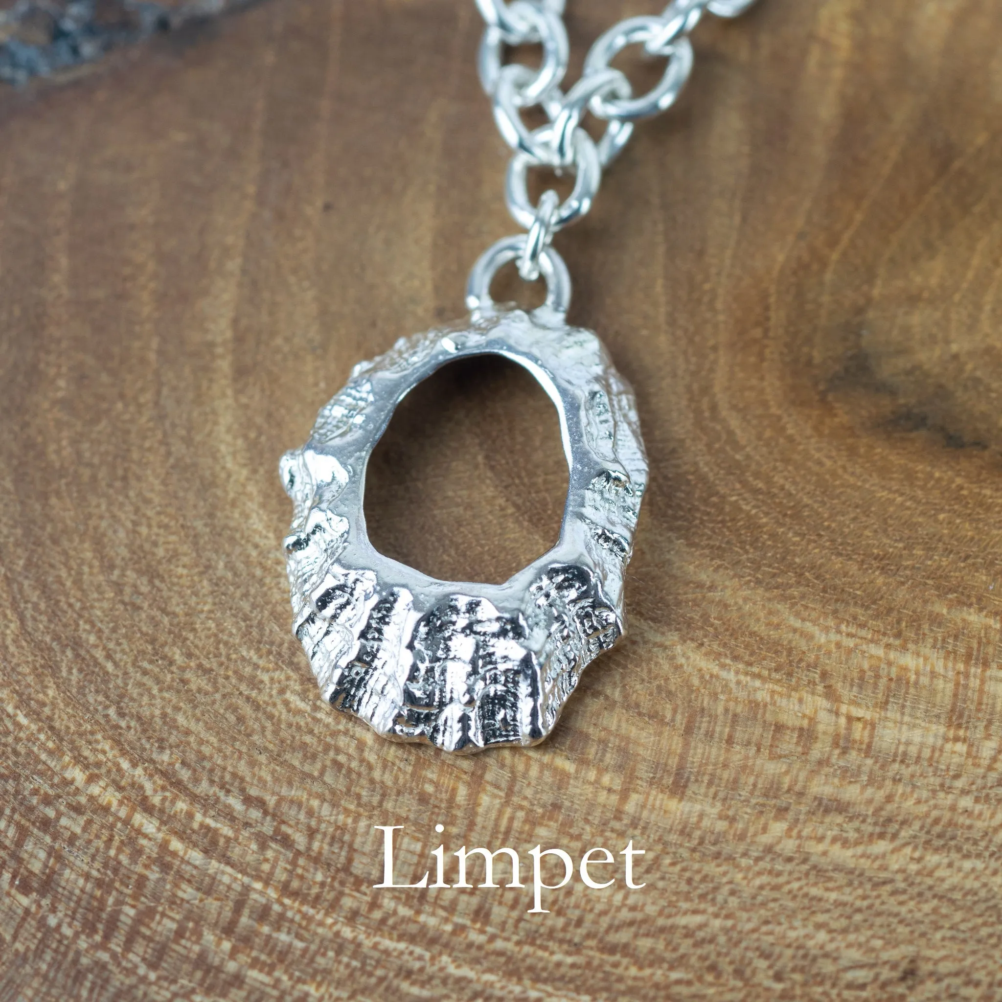 Create Your Own - Rockpool Shell Charm Silver Bracelet