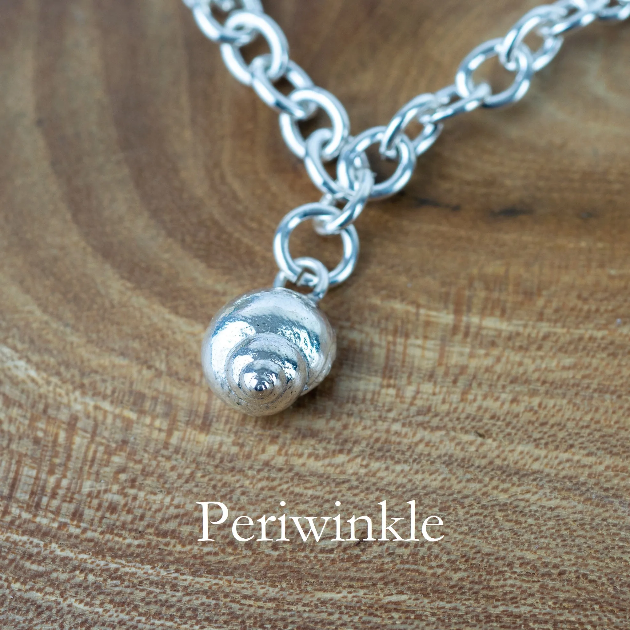 Create Your Own - Rockpool Shell Charm Silver Bracelet