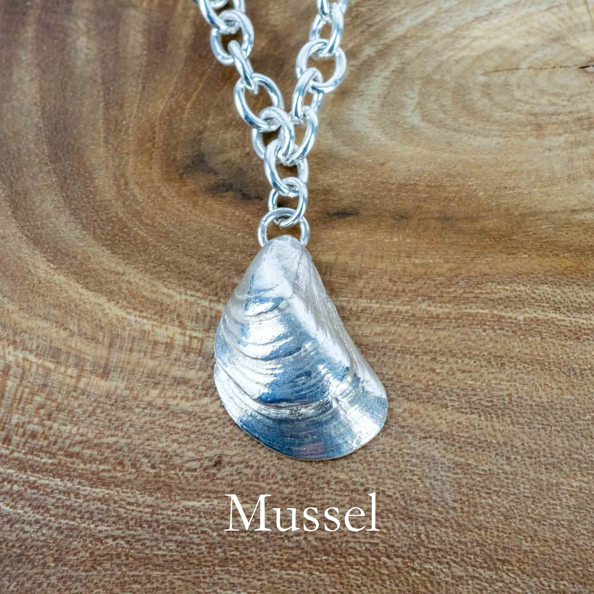 Create Your Own - Rockpool Shell Charm Silver Bracelet
