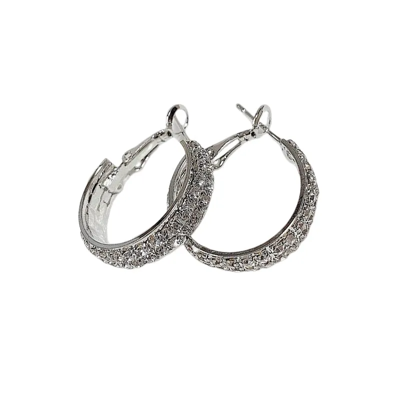Small sparkling earrings
